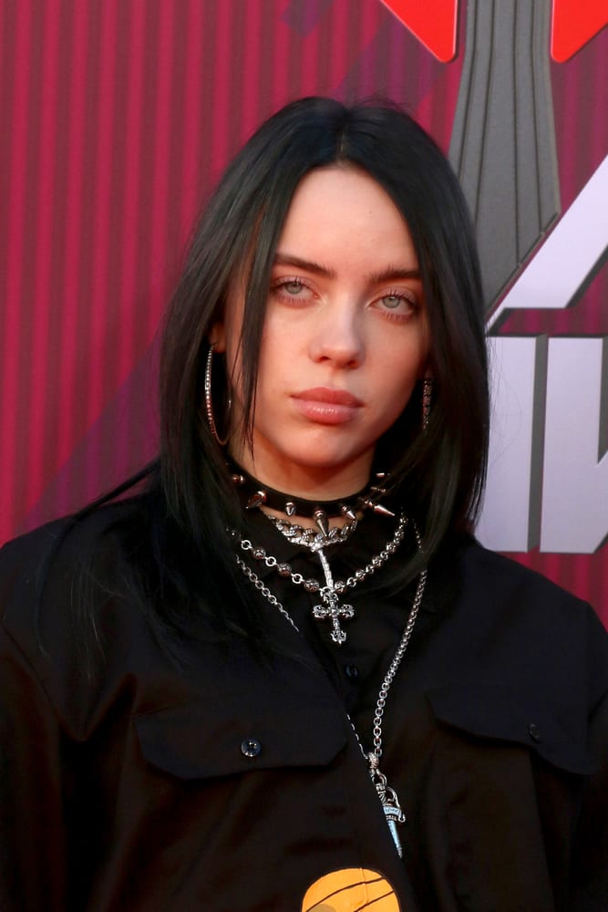 The Dark Side Of Social Media: How One Twitter Post Made Billie Eilish 